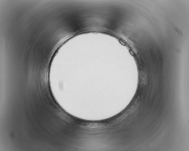 X0000116671322201001041122