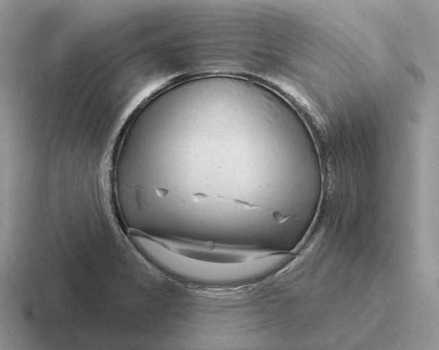 X0000116671325201001041122