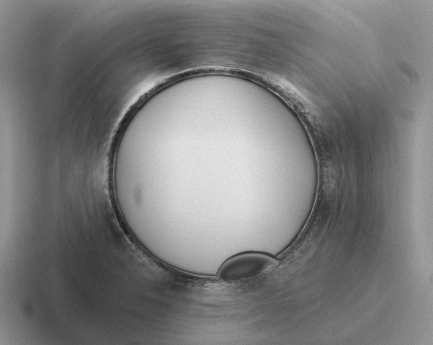 X0000116671326201001041122