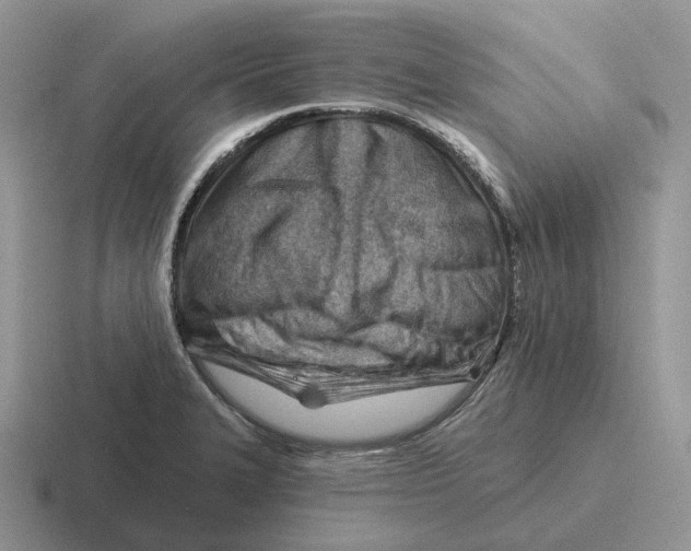 X0000116671327201001041122