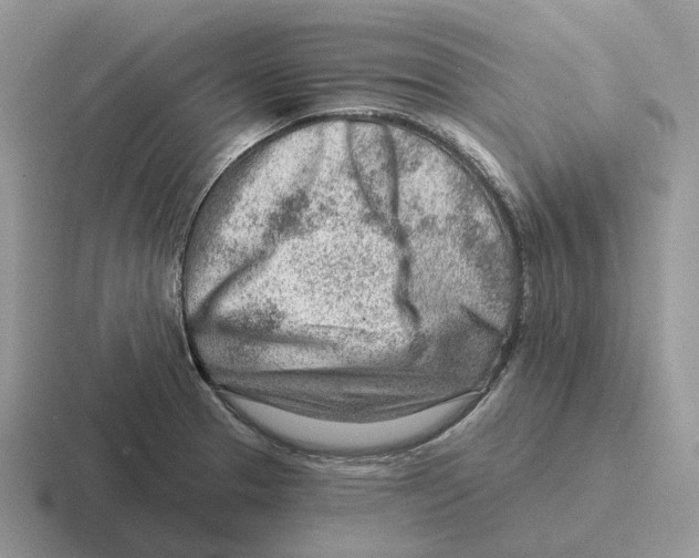 X0000116671329201001041122