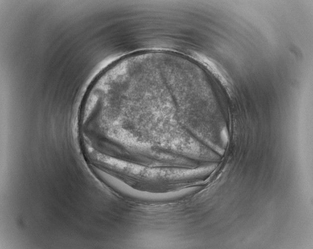 X0000116671331201001041122