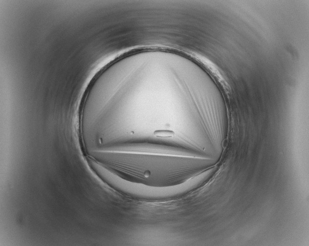 X0000116671335201001041122