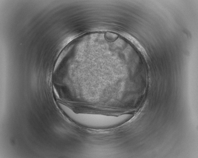 X0000116671337201001041122