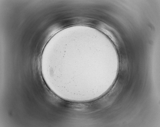 X0000116671338201001041122