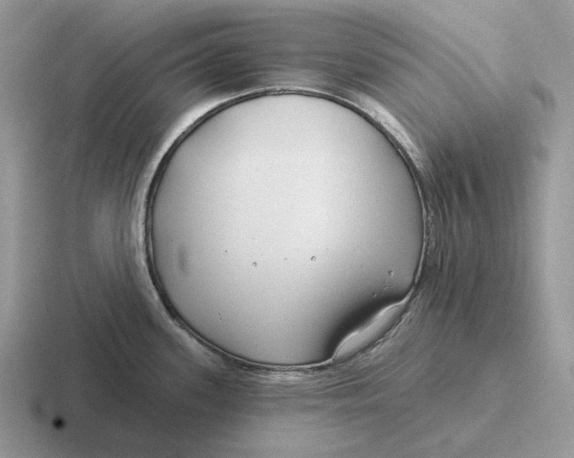 X0000116671339201001041122