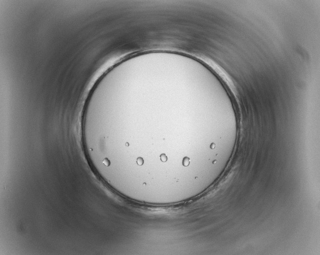 X0000116671341201001041122