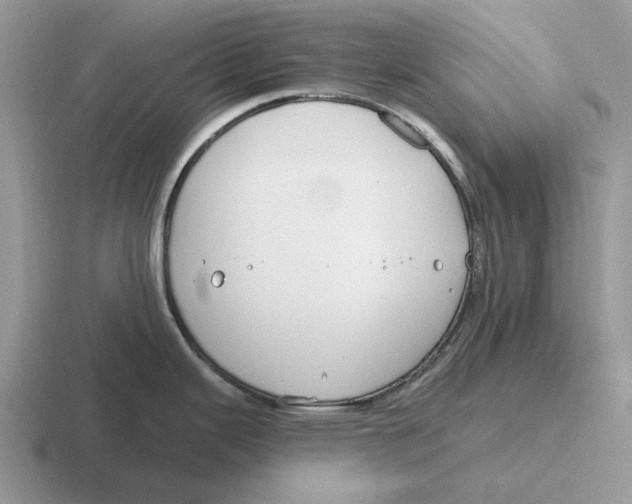 X0000116671343201001041122