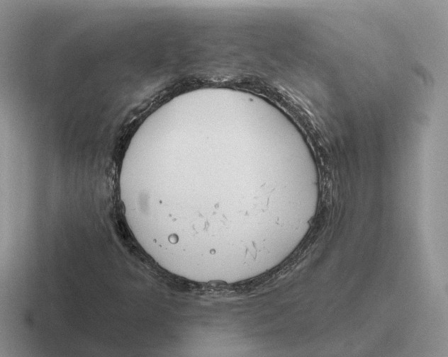 X0000116671349201001041121