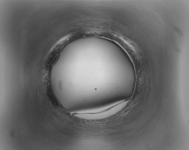 X0000116671351201001041121