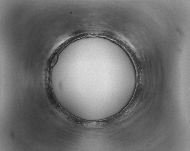 X0000116671352201001041121