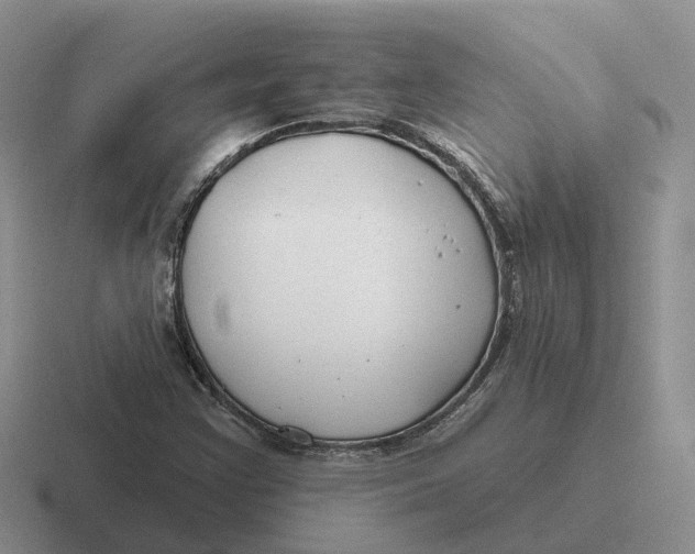 X0000116671355201001041121