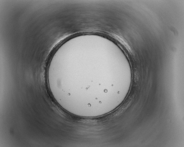 X0000116671356201001041121