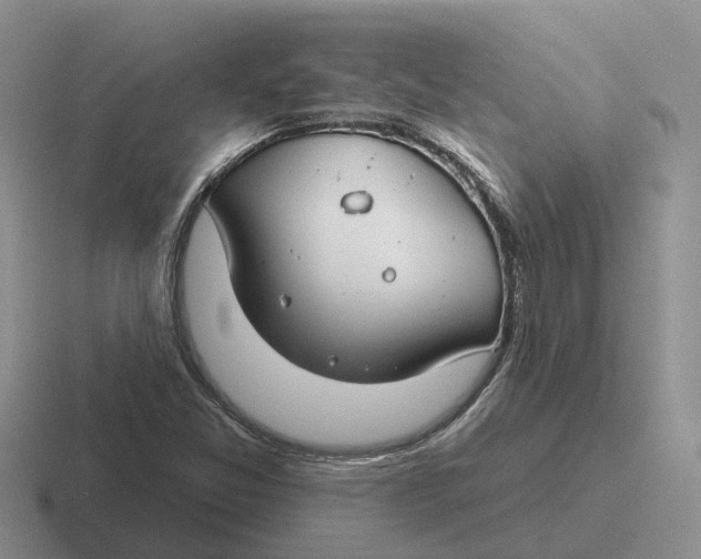 X0000116671357201001041121