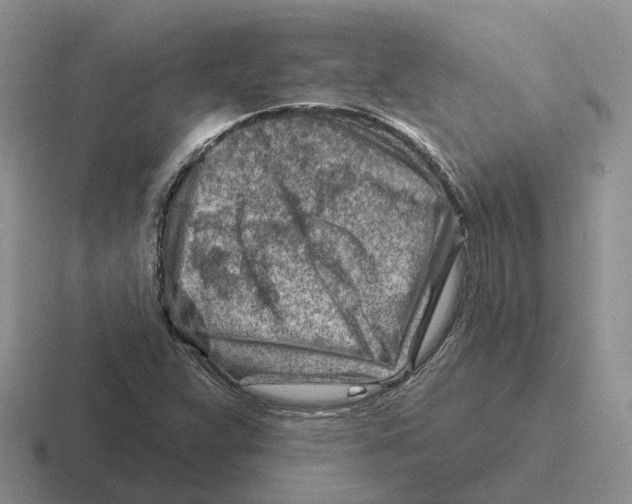 X0000116671359201001041121