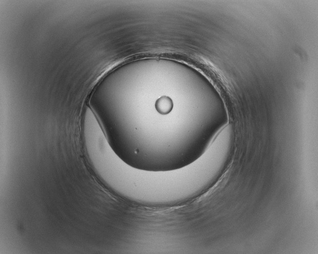 X0000116671361201001041121