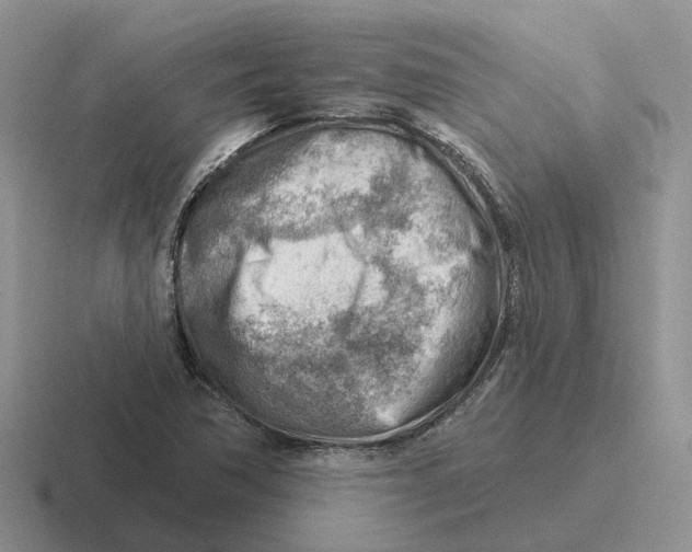 X0000116671362201001041121