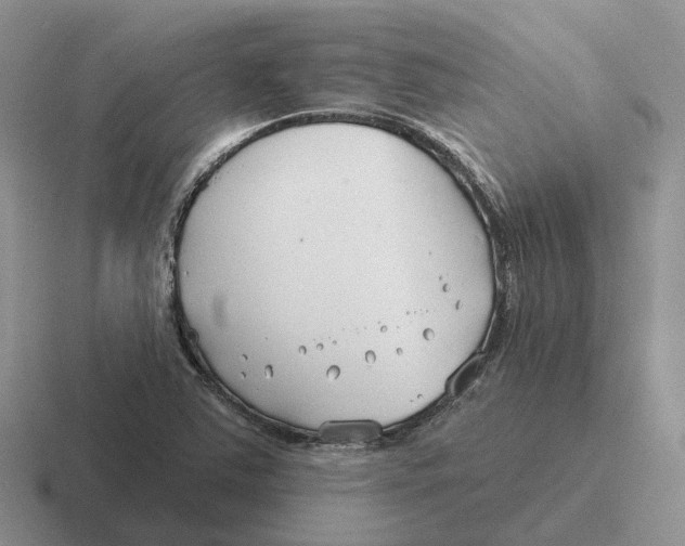 X0000116671363201001041121