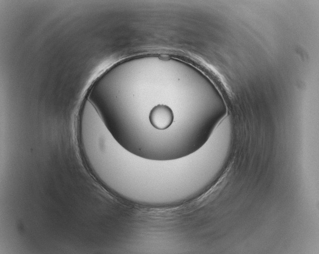 X0000116671365201001041121