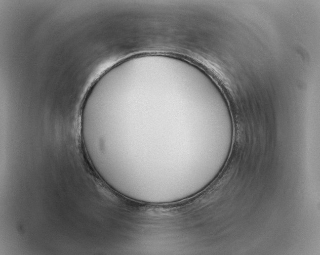 X0000116671366201001041121