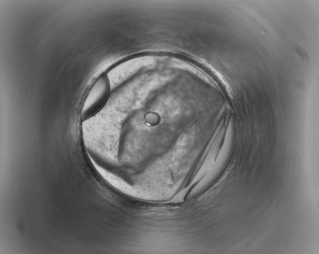 X0000116671367201001041121