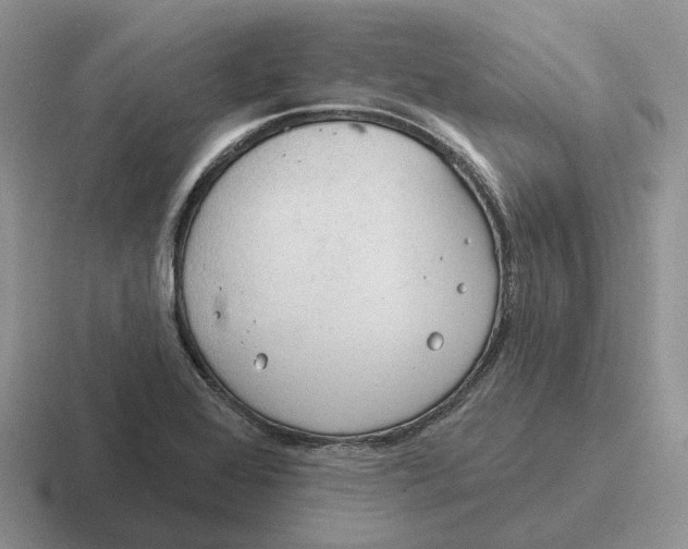 X0000116671368201001041121