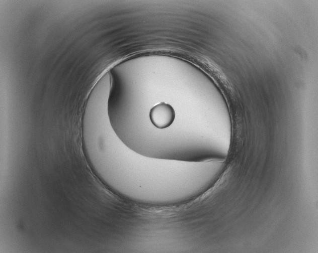 X0000116671369201001041121