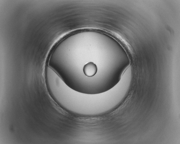 X0000116671372201001041121