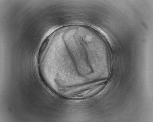 X0000116671373201001041121