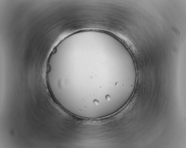 X0000116671374201001041121