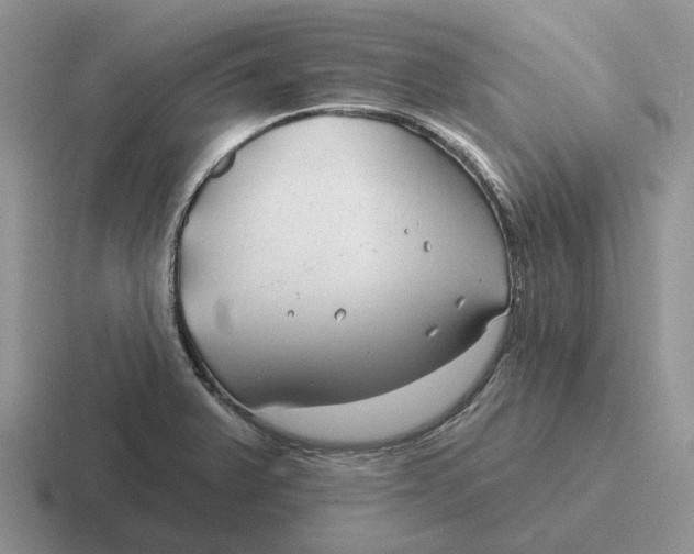 X0000116671375201001041121