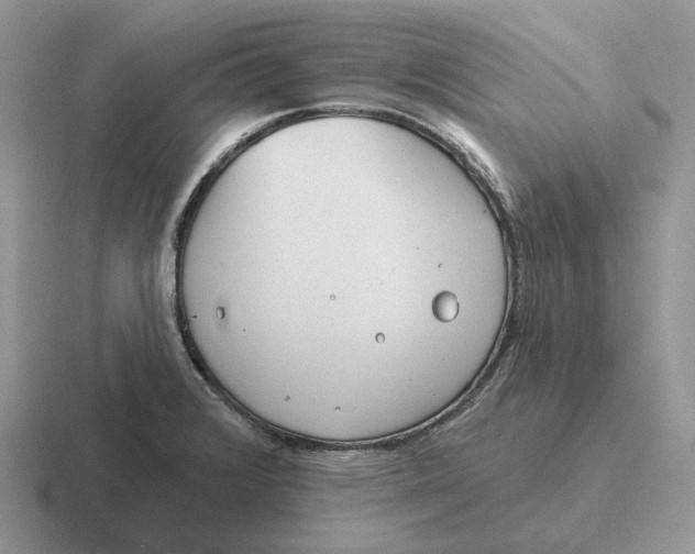 X0000116671376201001041121