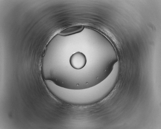 X0000116671377201001041121