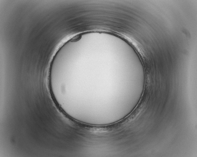 X0000116671379201001041121