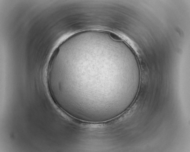 X0000116671381201001041121