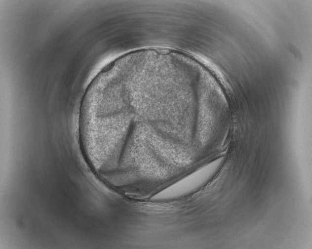 X0000116671383201001041121