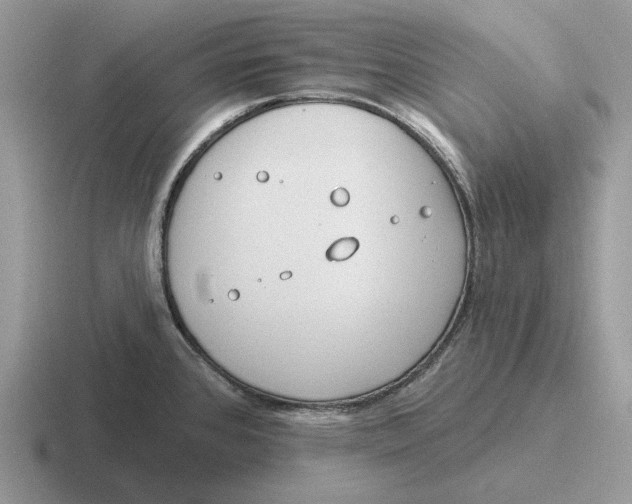 X0000116671384201001041121