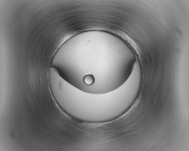 X0000116671385201001041121