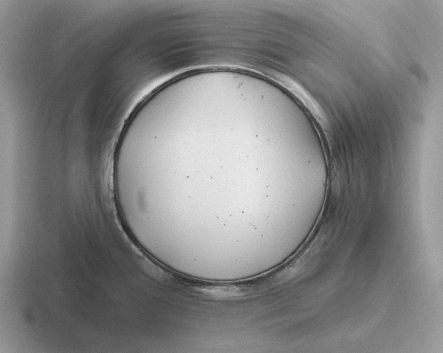 X0000116671388201001041121