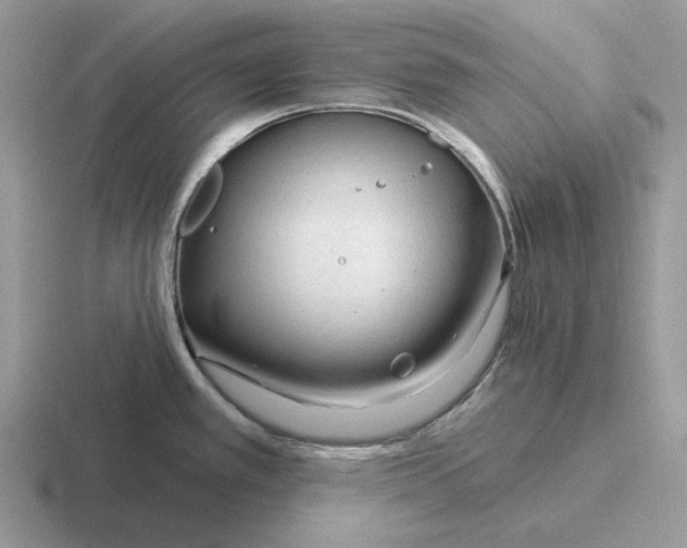 X0000116671389201001041121