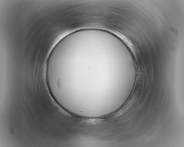 X0000116671390201001041121