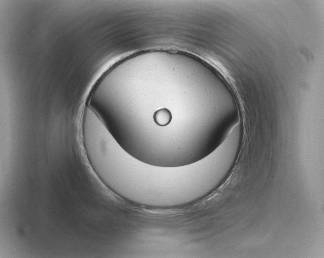 X0000116671392201001041121