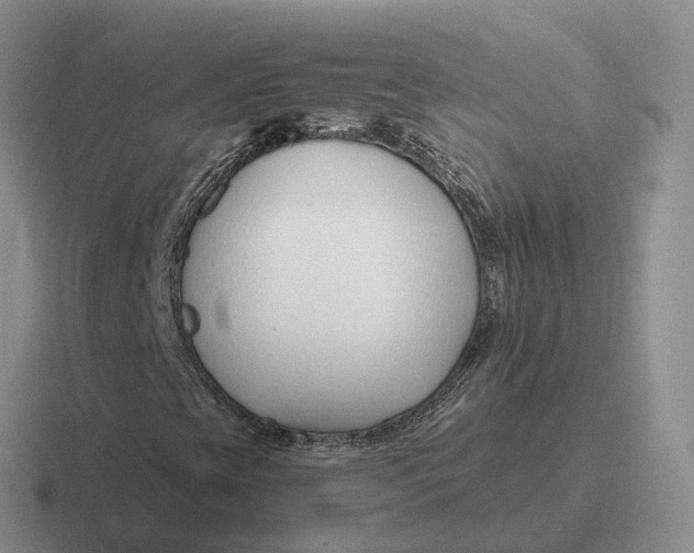 X0000116671393201001041120