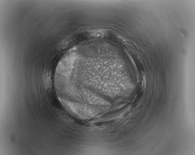 X0000116671394201001041120