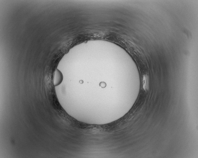 X0000116671395201001041120