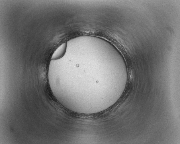 X0000116671396201001041120