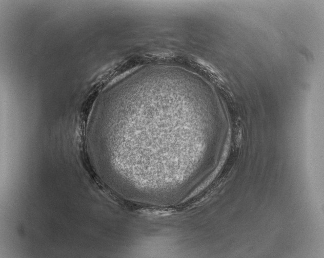 X0000116671397201001041120