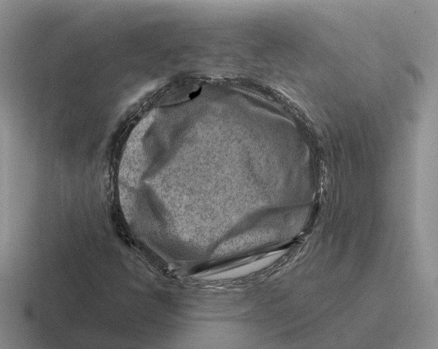 X0000116671398201001041120