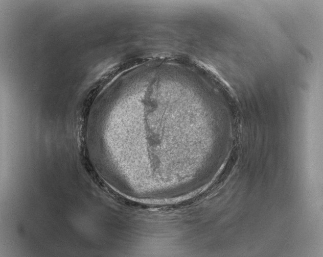 X0000116671399201001041120