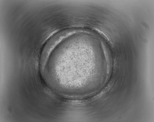 X0000116671401201001041120